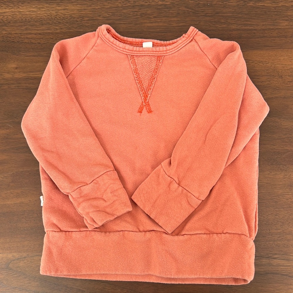 Childhoods Clothing crew neck sweatshirt, size 2T; washed clay color